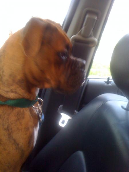 my boy max