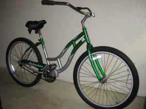 this is another persons picture of the same bike. mine cost $25 because i got it at a yard sale and the front wheel was very slightly potato chipped