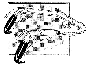 Stararticle3.gif