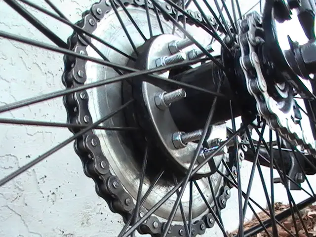 29er%20sm%2041tooth.jpg