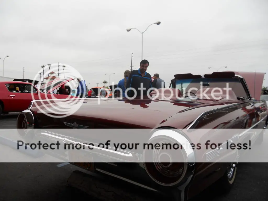 DSCN5576.jpg