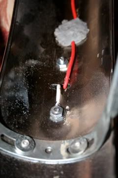 IMG_7871.jpg