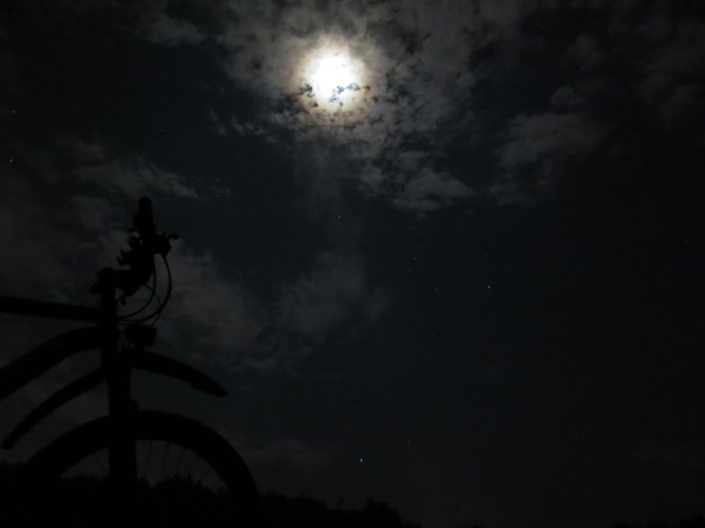 IMG_1736_zps11d71b10.jpg