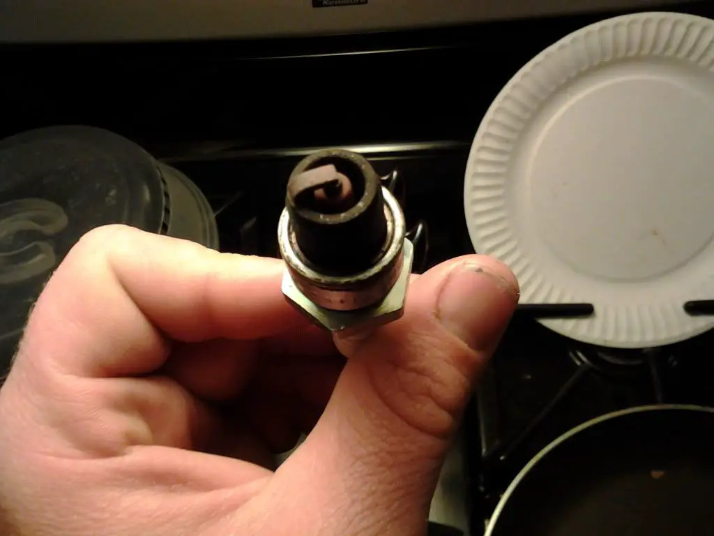 2011-05-02010059.jpg