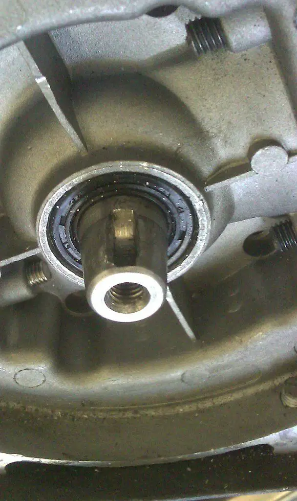 IMAG0361.jpg