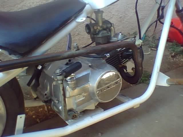 photo4.jpg