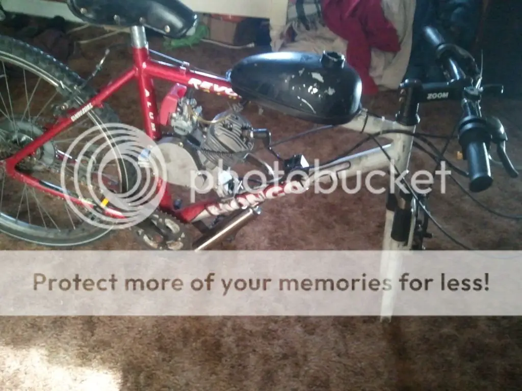 2012-02-08131445.jpg