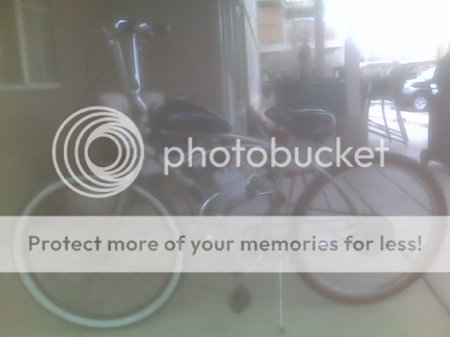 IMG00221.jpg