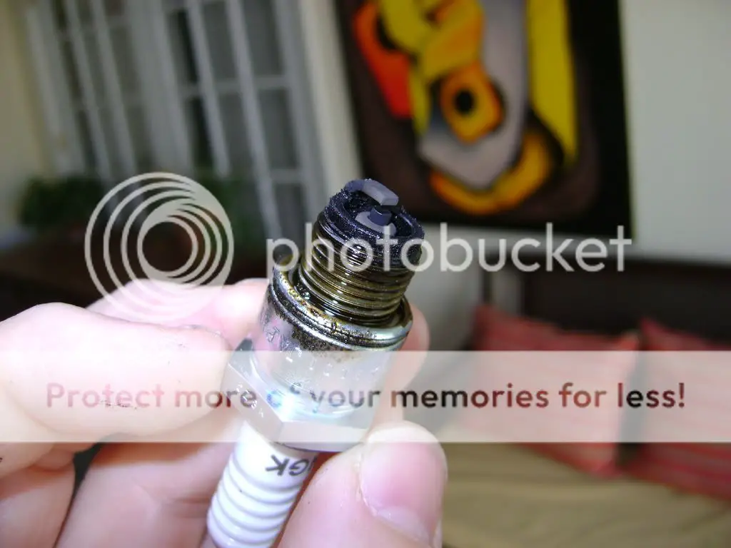 PLUG2.jpg