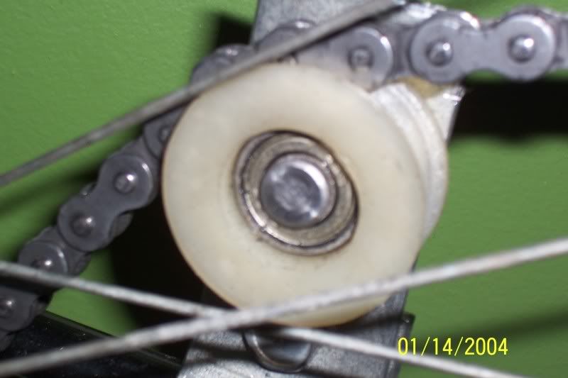 mypics044.jpg