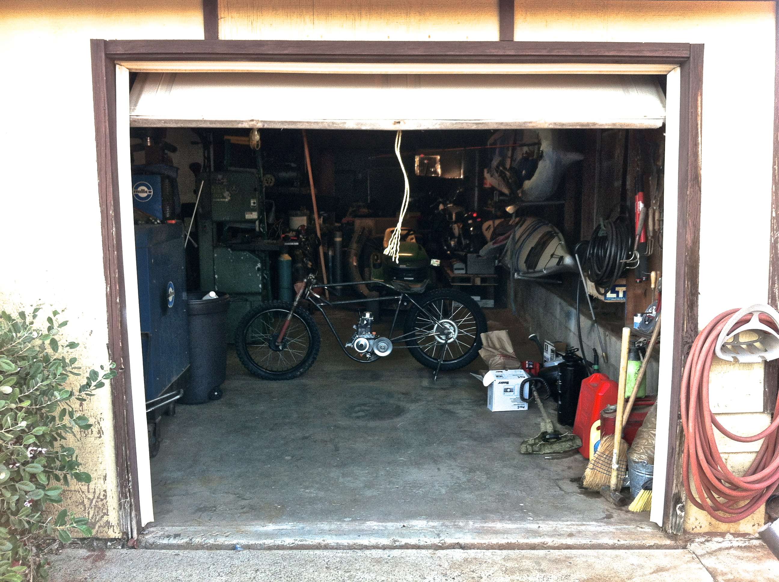 img1366py.jpg