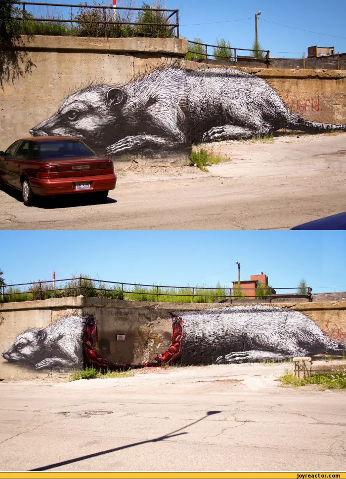 photo-art-graffiti-creative-577633.jpeg