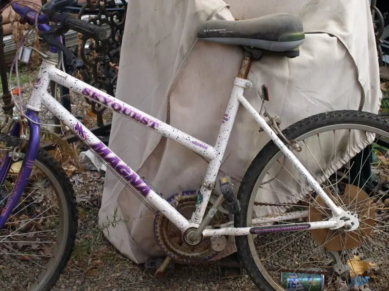 PB057983.jpg