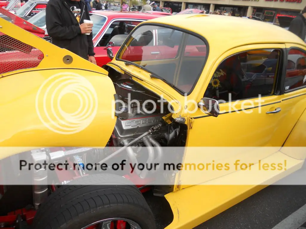 DSCN5520.jpg