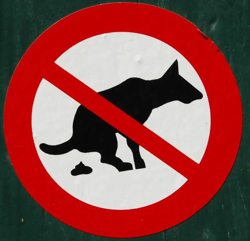 Dog-Poop-2.jpg