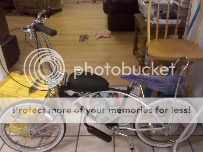 bike1.jpg