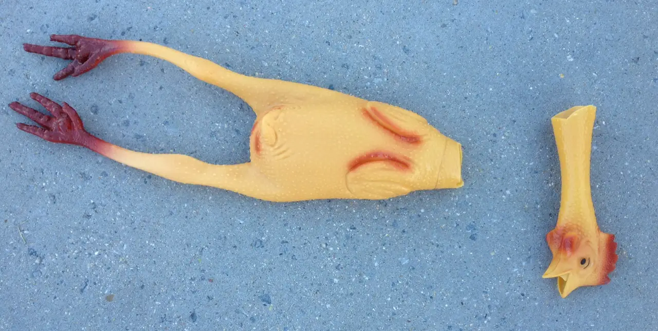 beheaded-chicken.jpg