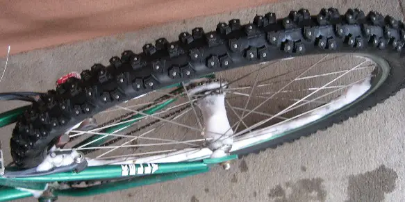 rearstuddedsmall.jpg