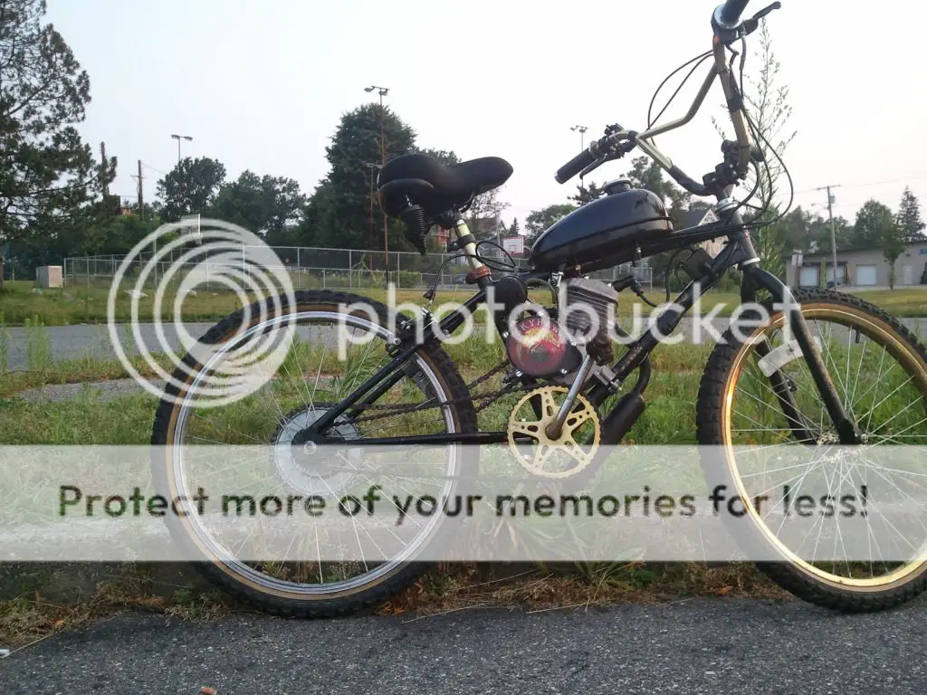 2011-07-19062343-1.jpg