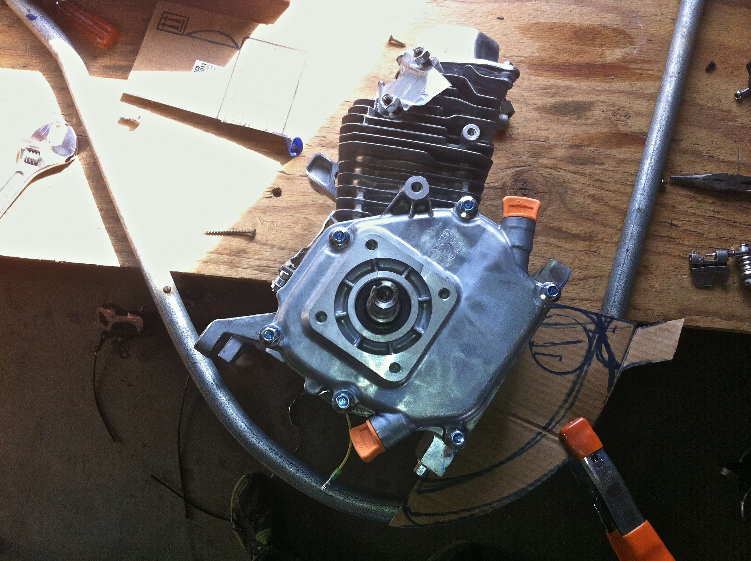img1150he.jpg