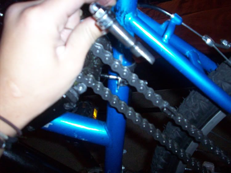 bicycle9.jpg