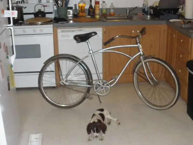 newbike.jpg