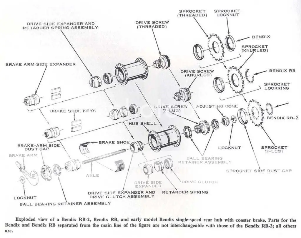 64010ab5.jpg