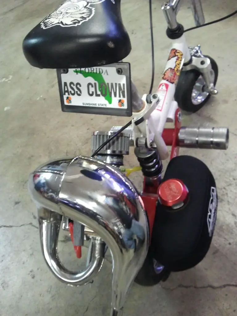 2012-01-02213349.jpg