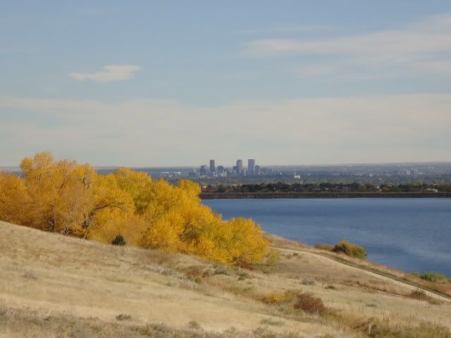 DSC00477.jpg