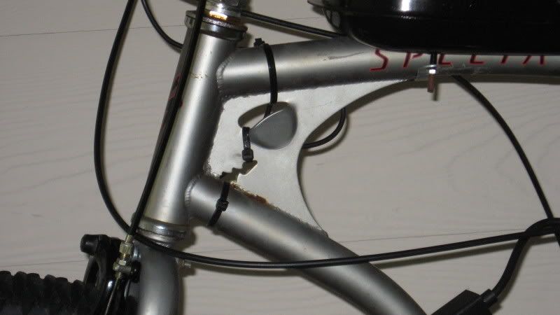 IMG_0209.jpg
