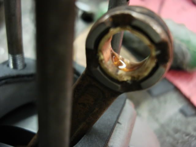 DSC01564.jpg