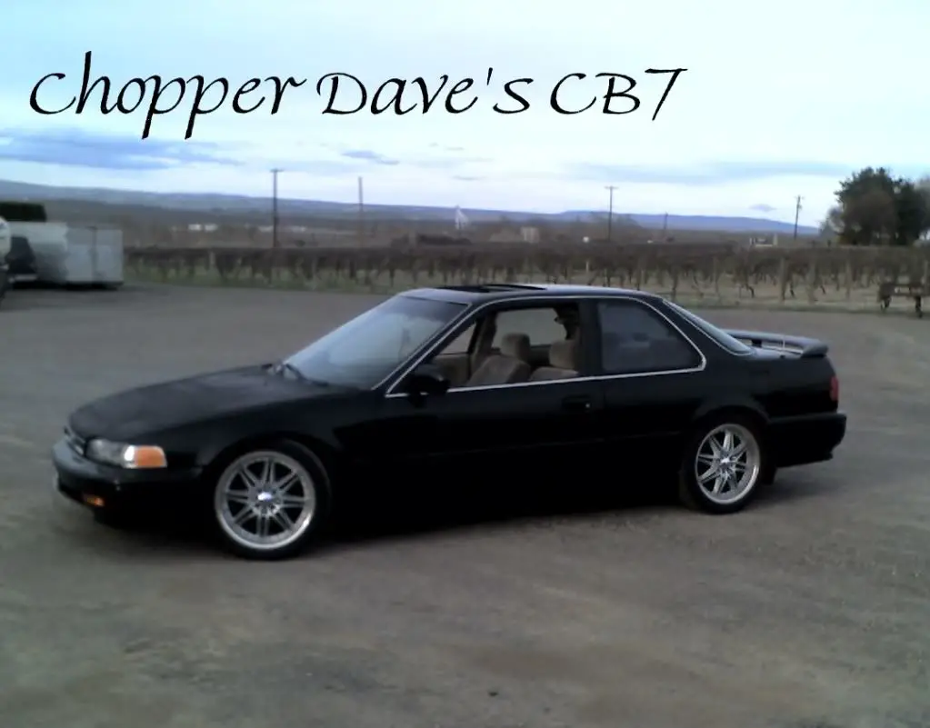 CB7.jpg