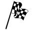 CheckedFlag.jpg