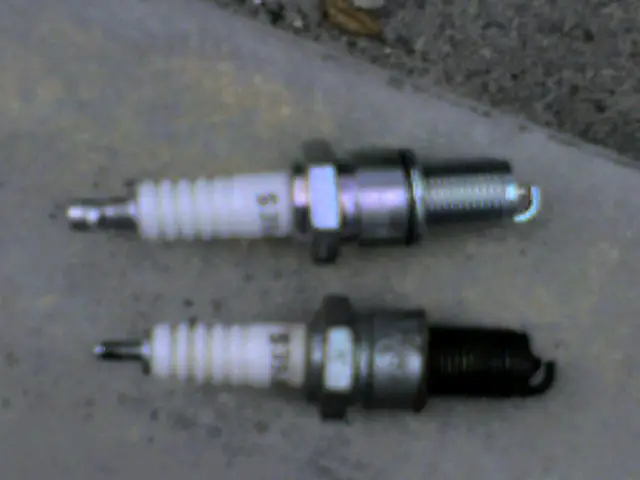 plugs.jpg