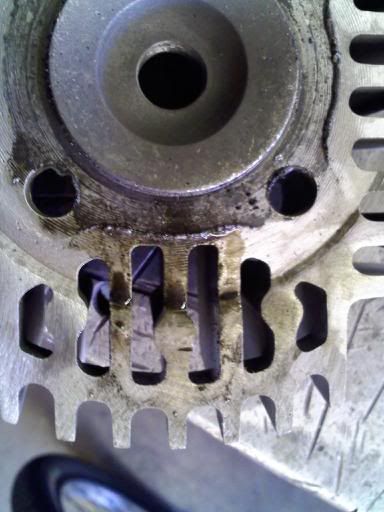 downsized_0209001524.jpg