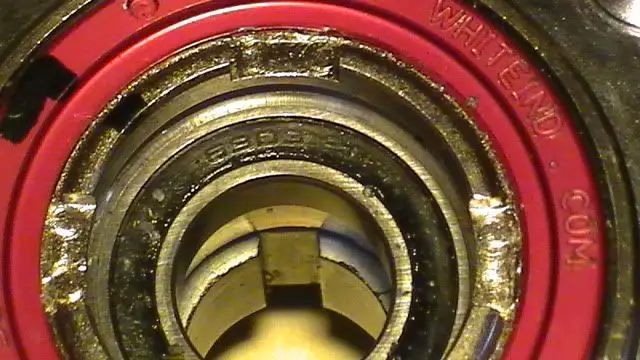 M1170011.jpg