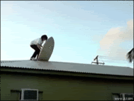 1924how-not-to-surf-animated.gif