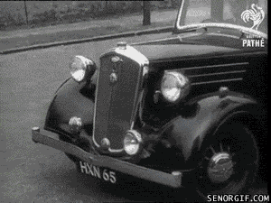 funny-gifs-chimp-my-ride.gif
