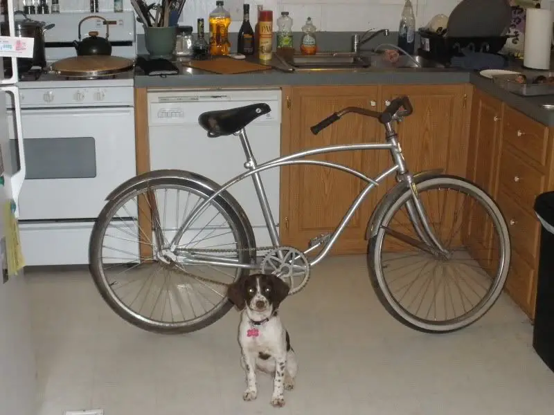 newbike2.jpg