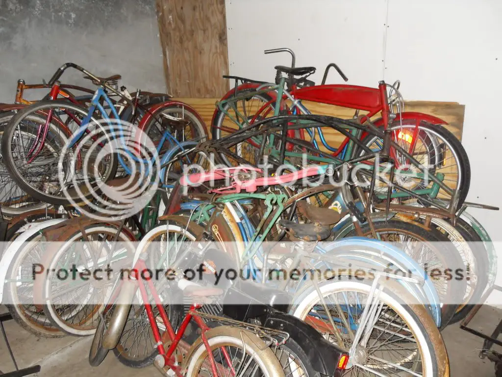 SDC10598.jpg