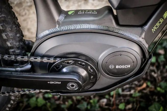 BoschTrek2.jpg
