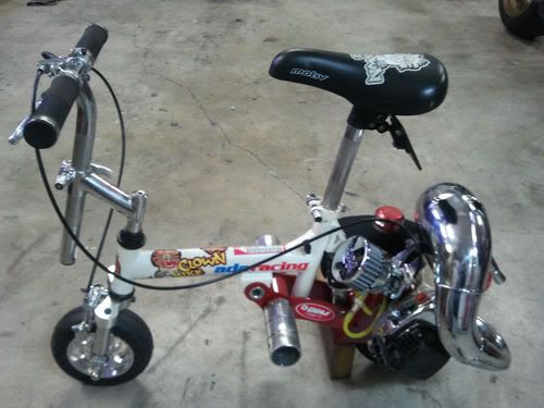 clownbike1.jpg