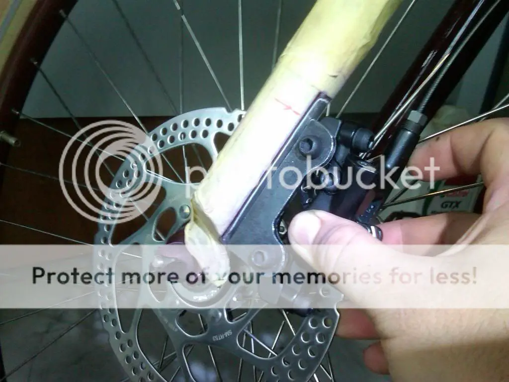 IMG00695-20130224-1130_zps655256cc.jpg