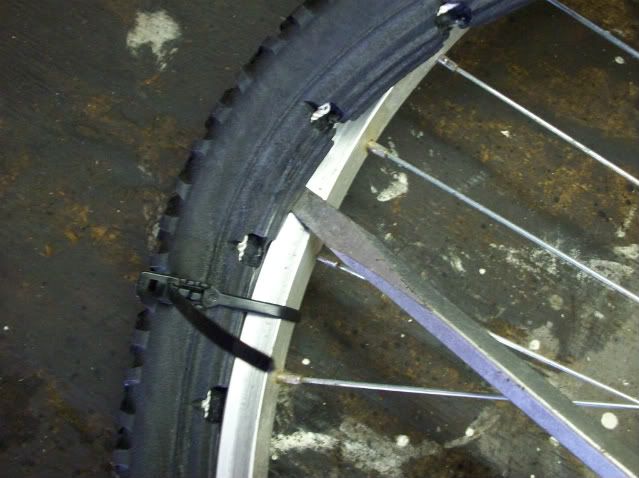 Picture004.jpg