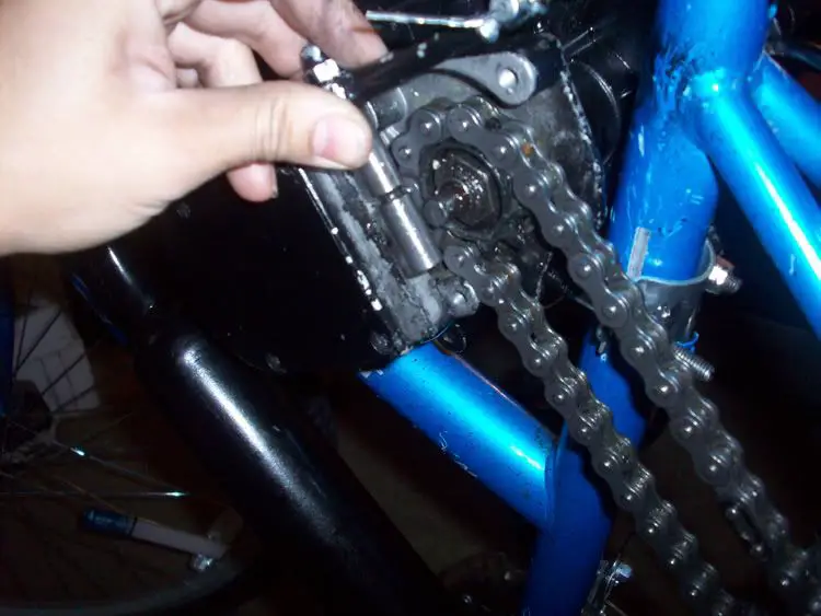 bicycle4.jpg