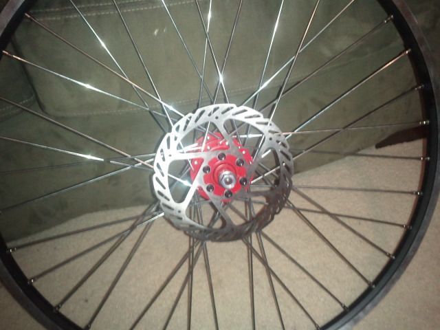 2013-10-24184045.jpg