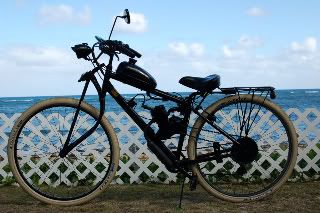 springer29er001-1.jpg