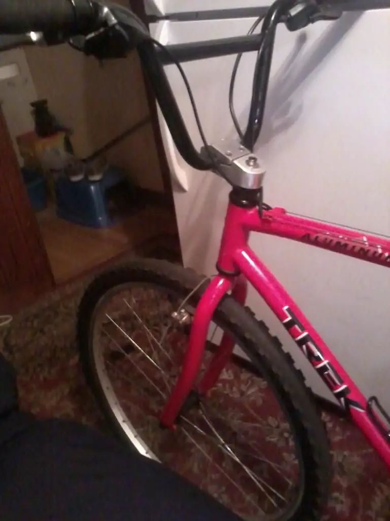 IMG_20130825_131654.jpg