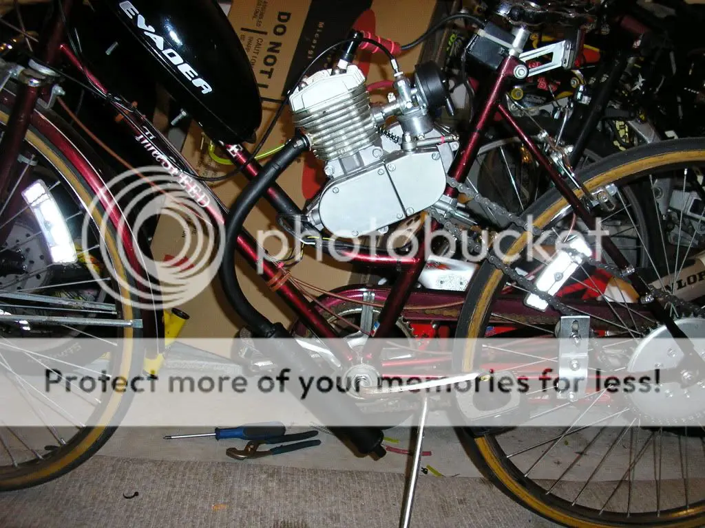P1011449-1.jpg