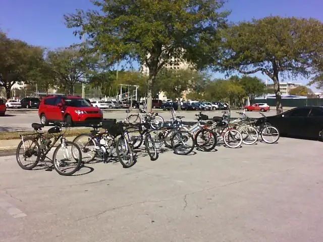tampa1.jpg